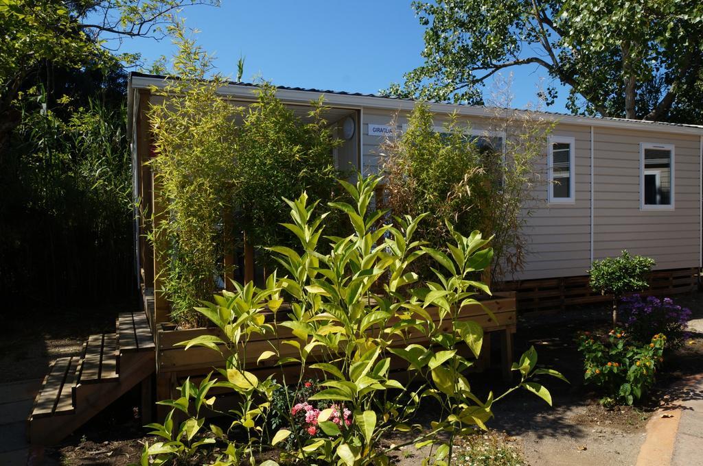 Camping International Calvi  Kültér fotó